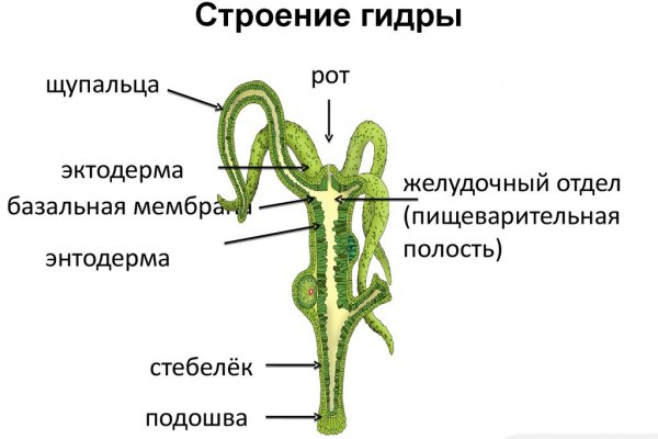 Кракен сайт kr2web in официальный ссылка